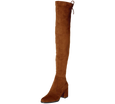 Paige Slim Fit Over The Knee Block Heel Boots - Kaitlyn Pan Shoes