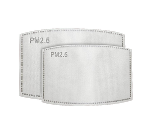 PM2.5 Insert for Face Masks - Kaitlyn Pan Shoes